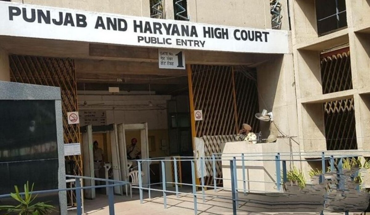 You are currently viewing High Court का महत्वपूर्ण टिप्पणी: शादीशुदा उम्र में न होने पर भी, एक प्रेमी जोड़े के जीवन और स्वतंत्रता मौलिक अधिकार