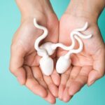 मृत व्यक्ति का शुक्राणु भी दे सकता है नया जीवन