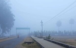 Read more about the article MP: मौसम ने ली करवट, हर रात तापमान में देखी जा रही गिरावट; 15 नवंबर से ठंड का प्रभाव बढ़ने की संभावना