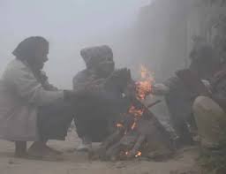 Read more about the article मध्यप्रदेश में फिर बढ़ी ठंड, 18 जिलों में पारा लुढ़का; ग्वालियर-चंबल में बारिश और कोहरा