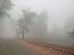 Read more about the article मध्य प्रदेश में मौसम का बदलाव: धूप, कोहरा और तापमान की हलचल; भोपाल-इंदौर में धूप, लेकिन पूर्वी हिस्सों में तापमान की गिरावट जारी