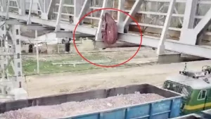 Read more about the article सागर में दिल दहला देने वाला हादसा! महिला ने रेलवे ओवरब्रिज से चलती मालगाड़ी में लगाई छलांग, 35 किमी दूर मिला शव