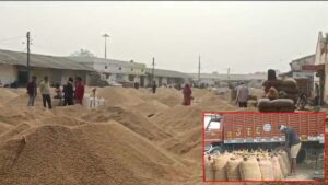 Read more about the article मध्य प्रदेश में धान खरीदी घोटाला: जबलपुर में 74 पर FIR, फर्जी वाहनों से हुआ करोड़ों का खेल!