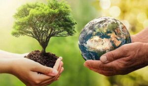 Read more about the article 22 अप्रैल को सभी स्कूलों में मनाया जाएगा पृथ्वी दिवस, पेड़ों पर लगेंगे क्यूआर कोड; छात्र बनाएंगे डिजिटल जानकारी