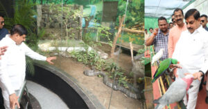 Read more about the article दुनिया के सबसे बुद्धिमान सर्प को मिला नया घर: CM मोहन यादव प्राणी संग्रहालय के स्नैक पार्क में छोड़ा किंग कोबरा, इंदौर में बर्ड पार्क का भी किया दौरा!