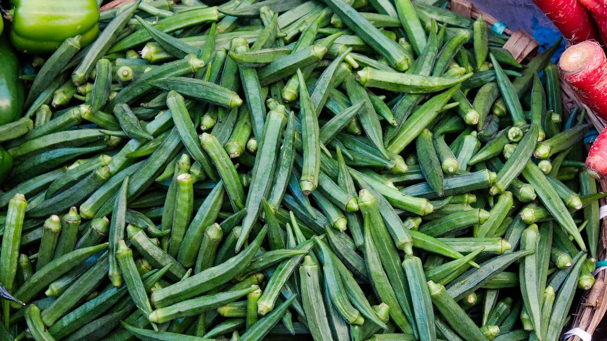 Read more about the article हानिकारक साबित हो सकता है भिंडी का सेवन