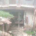 इंदौर: 80 साल के बुजुर्ग का शव खंडहर मकान से मिला, दरवाजा तोड़ा तो अंदर कुत्ते खा रहे थे लाश; सिर और चेहरा पूरी तरह क्षतिग्रस्त!