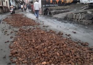 Read more about the article MP के पांढुर्णा का गोटमार मेला खून से फिर रंगा: दोपहर 3.20 बजे तक 488 लोग घायल, कलेक्टर ने लगाई धारा 144 लगाई!