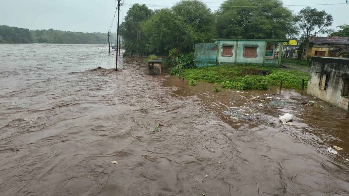 You are currently viewing मध्यप्रदेश में झमाझम बारिश का कहर: बुरहानपुर में मोहल्लों से लेकर खेतों तक पानी, फसलें डूबीं और मकान ढहे; मौसम विभाग ने 25-26 सितंबर को तेज बारिश का अलर्ट जारी किया!